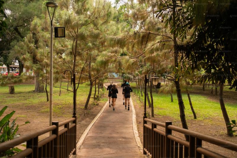 Comptage des personnes dans les parcs et les sentiers: Comprendre le flux de visiteurs en plein air